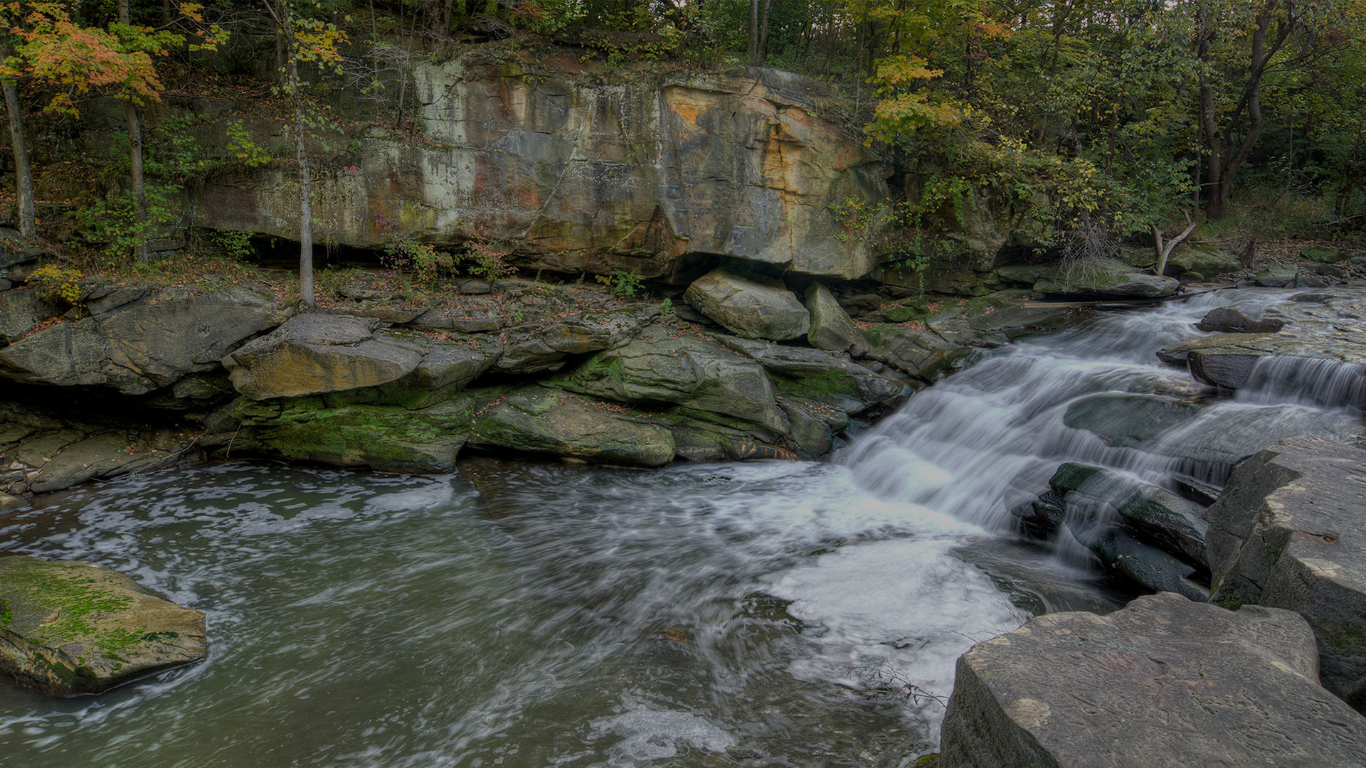 Oral and Maxillofacial Surgeon 01845,